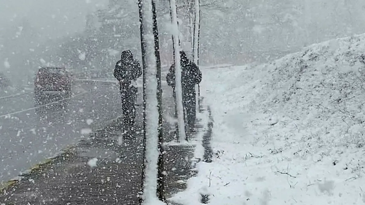 Meteoroloji’den son dakikahava durumu raporu! Birçok il için sağanak ve kar uyarısı: O tarihlere dikkat